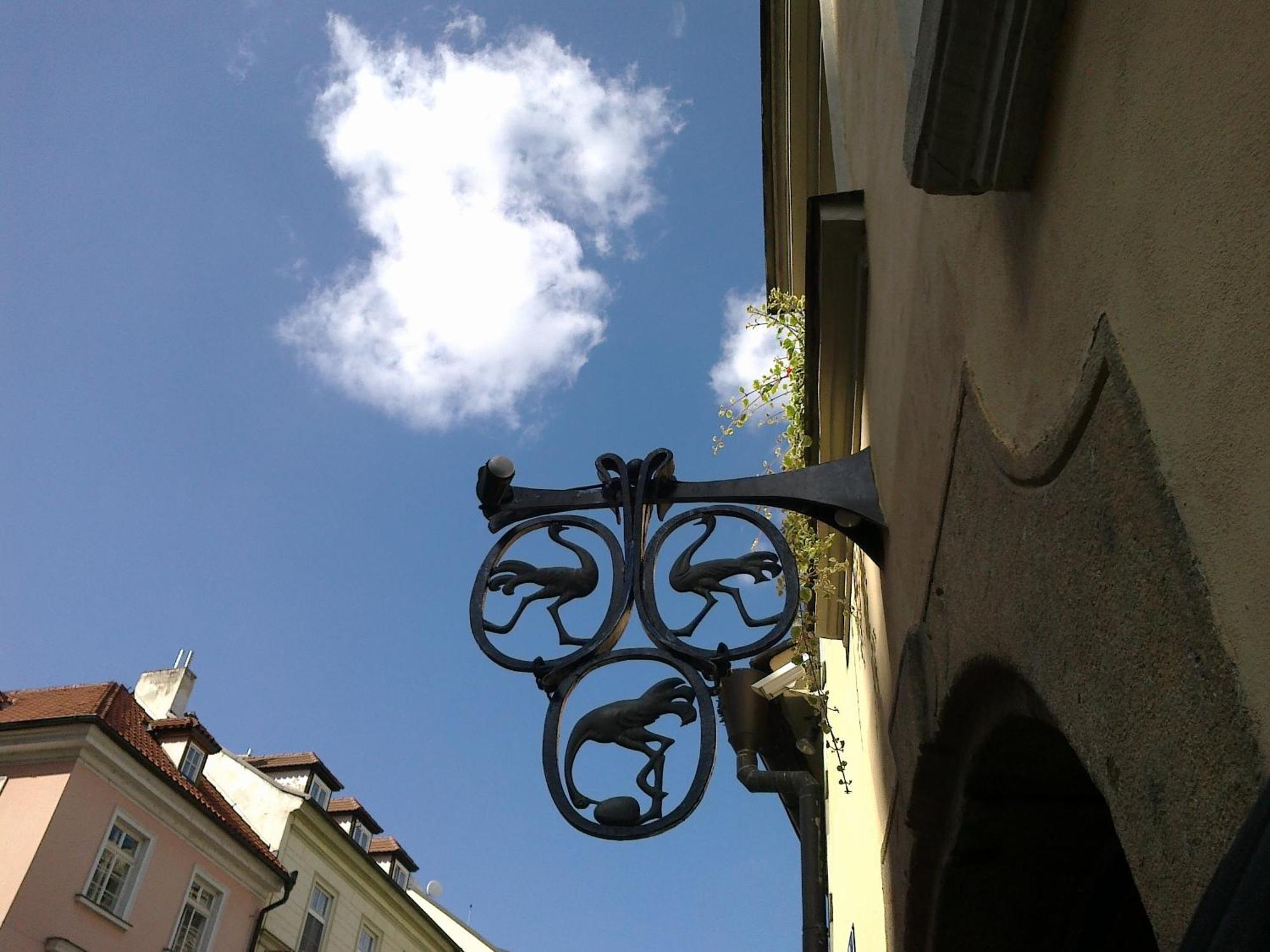 U 3 Pstrosu Praga
